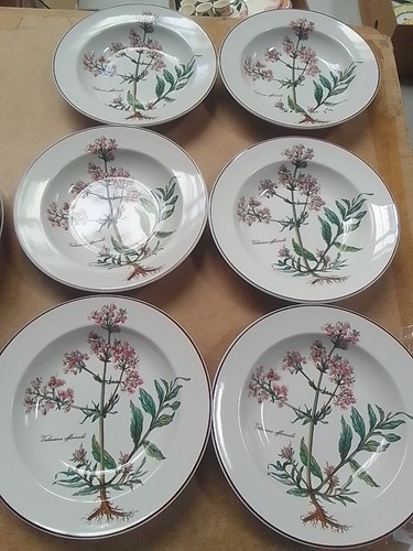 Villeroy und boch botanica - villeroy,